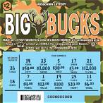big bucks lottery
